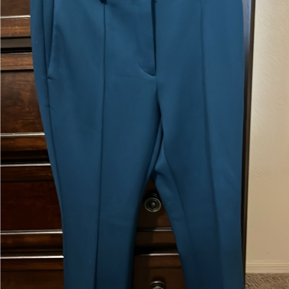 Blue Ann Taylor Pants NWT
